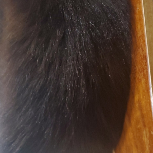 Shtreimel orthodox Jewish Nobleman  Hat Hasidic With a Case - Picture 7 of 7